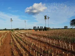Fazenda / Sítio / Chácara à venda, 1380000m² no Zona Rural, Itapuranga - Foto 8