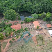 Fazenda / Sítio / Chácara com 4 Quartos à venda, 107000m² no Zona Rural, Oliveira - Foto 18