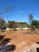 Terreno / Lote / Condomínio à venda, 1000m² no Morada dos Pássaros, Uberlândia - Foto 6