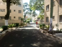 Apartamento com 2 Quartos à venda, 53m² no Jardim Lucinda, São Paulo - Foto 15
