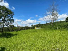 Fazenda / Sítio / Chácara à venda, 24m² no Area Rural de Araguari, Araguari - Foto 5