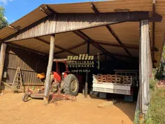 Fazenda / Sítio / Chácara com 8 Quartos à venda, 500m² no MOMBUCA, Itatiba - Foto 14