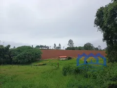 Fazenda / Sítio / Chácara com 2 Quartos à venda, 1200000m² no Zona Rural, Piedade - Foto 25