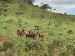 Fazenda / Sítio / Chácara à venda, 1120000m² no Sao Jose, Barbacena - Foto 11