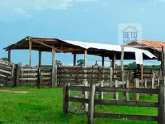 Fazenda / Sítio / Chácara à venda, 880000m² no Zona Rural, Poconé - Foto 10