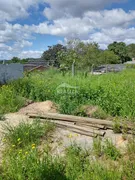 Terreno / Lote / Condomínio à venda, 300m² no São Tomé, Viamão - Foto 6