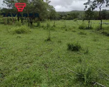 Terreno / Lote / Condomínio à venda, 20000m² no , Cachoeira da Prata - Foto 13