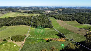 Fazenda / Sítio / Chácara à venda, 95000m² no Zona Rural, Monte Belo do Sul - Foto 20