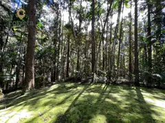 Fazenda / Sítio / Chácara com 4 Quartos à venda, 38300m² no Mury, Nova Friburgo - Foto 15