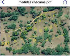 Fazenda / Sítio / Chácara à venda, 2000m² no Criúva, Caxias do Sul - Foto 2
