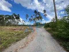 Fazenda / Sítio / Chácara com 2 Quartos à venda, 1500m² no Zona Rural, Carmo do Cajuru - Foto 6