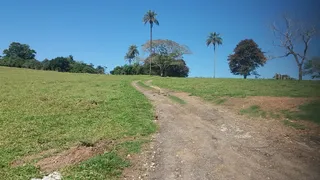 Fazenda / Sítio / Chácara à venda no Zona Rural, Anhembi - Foto 16