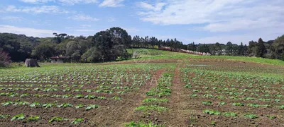 Fazenda / Sítio / Chácara à venda, 240000m² no Zona Rural, Bocaiúva do Sul - Foto 19