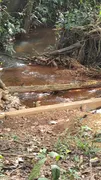 Fazenda / Sítio / Chácara à venda, 20000m² no Paranoá, Brasília - Foto 1