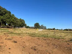 Fazenda / Sítio / Chácara à venda, 100m² no Centro, Araguari - Foto 5