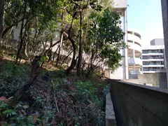 Terreno / Lote / Condomínio à venda, 4852m² no Jardim Pioneiro , Cotia - Foto 18