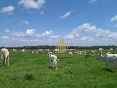 Fazenda / Sítio / Chácara com 3 Quartos à venda, 210000000m² no Centro, Nova Xavantina - Foto 7