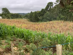 Fazenda / Sítio / Chácara à venda, 24000m² no Zona Rural, Mandirituba - Foto 29