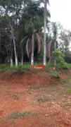 Fazenda / Sítio / Chácara com 3 Quartos à venda, 80m² no Rio Acima, Mairiporã - Foto 12