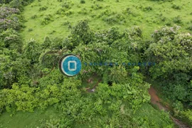 Terreno / Lote / Condomínio à venda, 49368m² no Zona Rural, Itapuranga - Foto 5