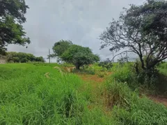 Terreno / Lote / Condomínio à venda, 1000m² no Morada dos Pássaros, Uberlândia - Foto 7