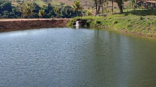 Fazenda / Sítio / Chácara à venda, 20000m² no Universitário, Sete Lagoas - Foto 22