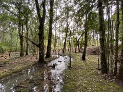 Fazenda / Sítio / Chácara com 1 Quarto à venda, 100m² no Ratones, Florianópolis - Foto 19