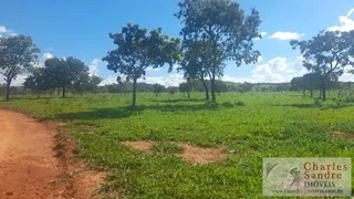 Fazenda / Sítio / Chácara com 4 Quartos à venda, 168m² no Zona Rural, Vila Propício - Foto 12