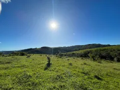 Fazenda / Sítio / Chácara à venda, 3025000m² no Zona Rural, Ibiporã - Foto 32