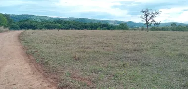 Fazenda / Sítio / Chácara com 3 Quartos à venda, 1340000m² no Area Rural de Ceilandia, Brasília - Foto 84