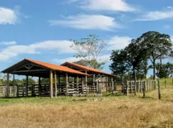 Fazenda / Sítio / Chácara com 2 Quartos à venda, 158m² no Zona Rural, Colinas do Sul - Foto 1