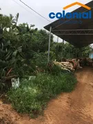 Terreno / Lote / Condomínio à venda, 48400m² no São Pedro, Itupeva - Foto 20