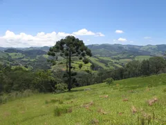 Fazenda / Sítio / Chácara com 1 Quarto à venda, 150000m² no Rural, Extrema - Foto 2