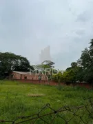 Terreno / Lote / Condomínio para alugar, 1602m² no Ipanema, Porto Alegre - Foto 15