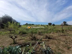 Fazenda / Sítio / Chácara com 1 Quarto à venda, 111000m² no Macuco, Valinhos - Foto 7