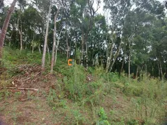 Terreno / Lote / Condomínio à venda, 24200m² no Felpudo, Campo Largo - Foto 25