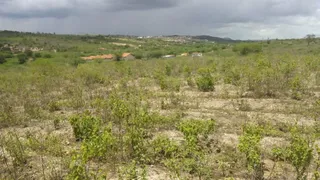 Fazenda / Sítio / Chácara com 1 Quarto à venda, 36000000m² no ALTO DO MOURA, Caruaru - Foto 3