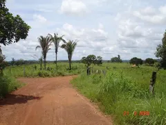 Fazenda / Sítio / Chácara à venda, 1035m² no Zona Rural, Goianorte - Foto 10