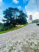 Terreno / Lote / Condomínio à venda, 255m² no Panazzolo, Caxias do Sul - Foto 2