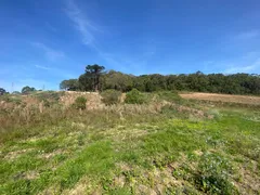 Terreno / Lote / Condomínio com 1 Quarto à venda, 5900m² no Lamenha Pequena, Curitiba - Foto 7