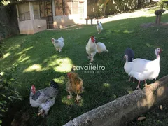 Fazenda / Sítio / Chácara com 3 Quartos à venda, 140m² no Vale Da Figueira, Maricá - Foto 4