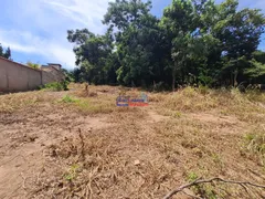 Fazenda / Sítio / Chácara com 2 Quartos à venda, 854m² no Francelinos, Juatuba - Foto 27