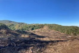 Fazenda / Sítio / Chácara à venda, 70000m² no Varzea Grande, Gramado - Foto 7