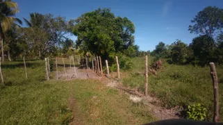 Fazenda / Sítio / Chácara à venda, 74000m² no Zona Rural, Conde - Foto 2