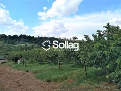 Fazenda / Sítio / Chácara com 2 Quartos à venda, 700m² no Reforma Agraria, Valinhos - Foto 23