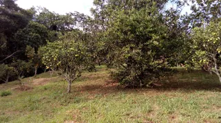 Fazenda / Sítio / Chácara com 3 Quartos à venda, 20000m² no Parque Residencial Itapeti, Mogi das Cruzes - Foto 3