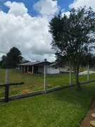 Fazenda / Sítio / Chácara com 2 Quartos à venda, 23000m² no Faxina, São José dos Pinhais - Foto 15