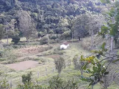 Fazenda / Sítio / Chácara com 5 Quartos à venda, 480000m² no Posse, Petrópolis - Foto 12