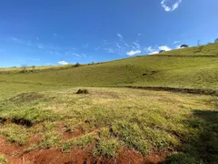 Terreno / Lote / Condomínio à venda, 20000m² no Zona Rural, Santo Antônio do Pinhal - Foto 2