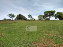 Fazenda / Sítio / Chácara com 4 Quartos à venda, 75000m² no Zona Rural, Bonfinópolis - Foto 8